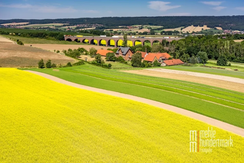 Senffelder in der Region um Einbeck
